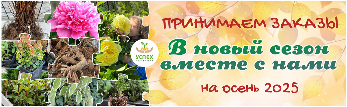 Осень 2025 баннер
